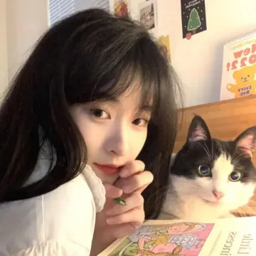 木棉
